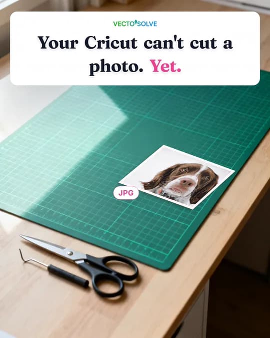 First slide of a VectoSolve carousel: Your Cricut can't cut a photo. Yet.